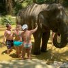 общение со слонами на пхукете без катания