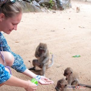 можно ли кормить обезьян на экскурсии