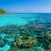 суринские острова кораллы
